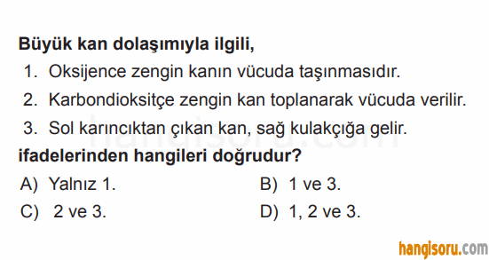 Soru 6
