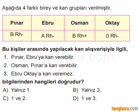 Soru 10