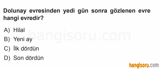 Soru 12