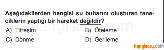 Soru 6