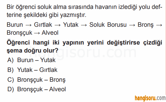Soru 1
