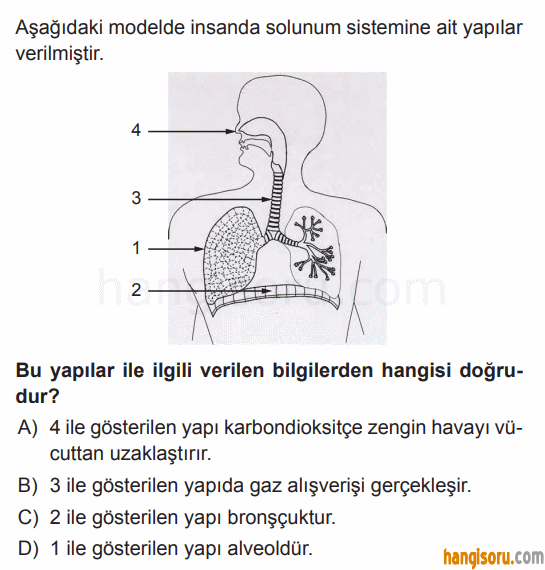 Soru 6
