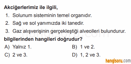 Soru 7