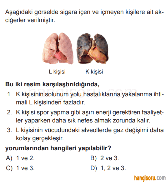 Soru 8