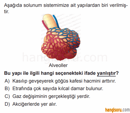 Soru 9