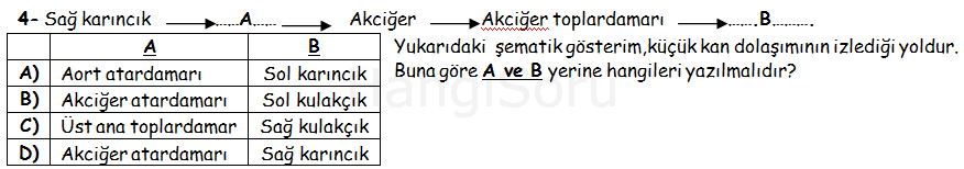 Soru 4