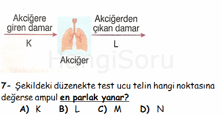 Soru 7