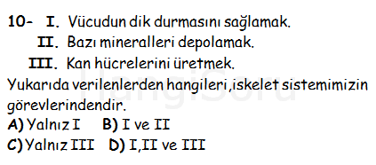 Soru 10