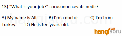 Soru 13