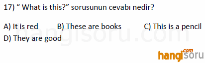 Soru 17