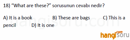 Soru 18