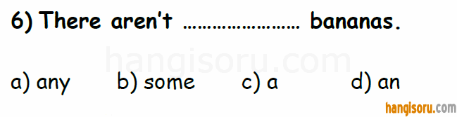 Soru 6