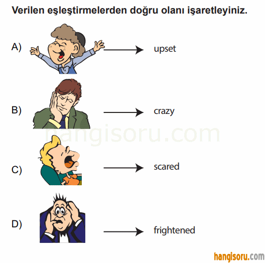 Soru 7
