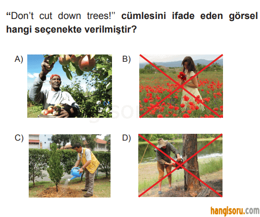 Soru 9