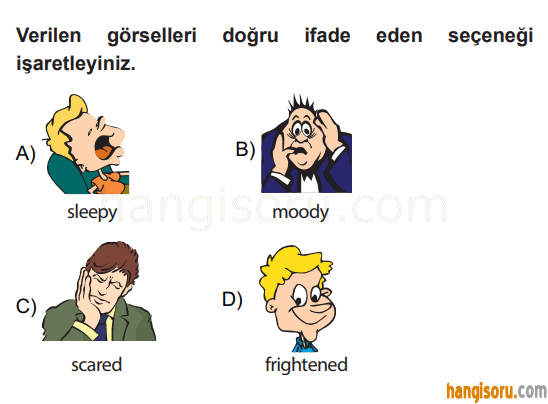 Soru 6