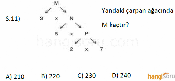 Soru 11