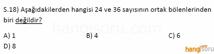 Soru 18
