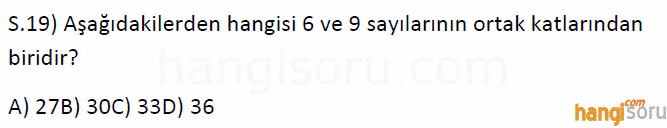 Soru 19