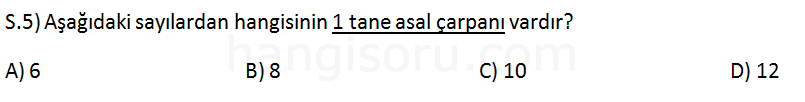 Soru 5