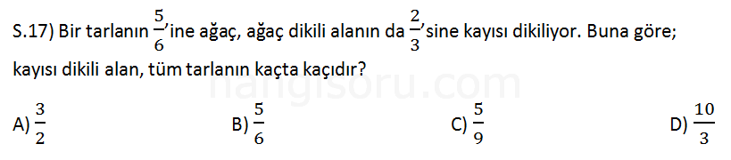Soru 17