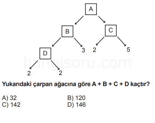 Soru 7