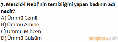 Soru 7
