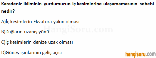 Soru 7