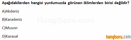 Soru 8