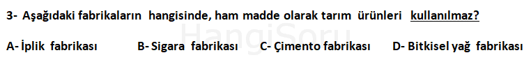Soru 3
