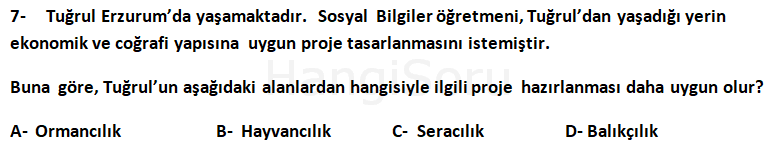 Soru 7