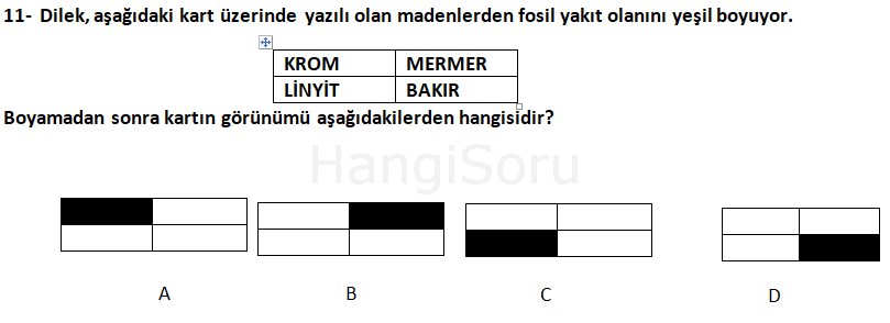 Soru 11