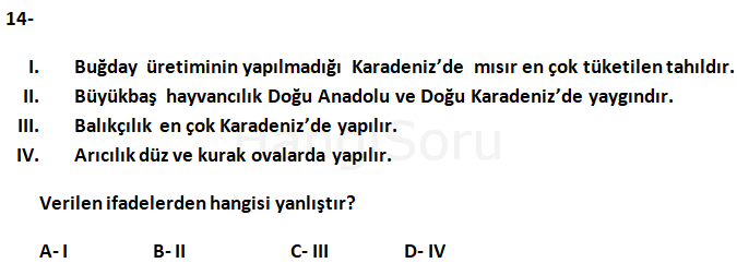 Soru 14