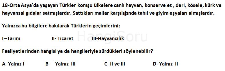 Soru 18