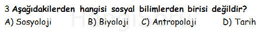 Soru 3