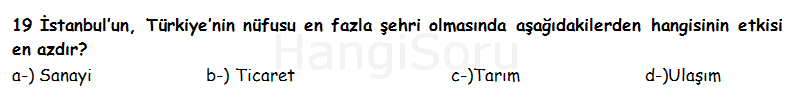Soru 19