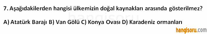 Soru 7