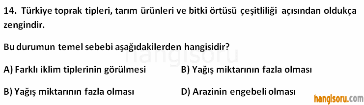 Soru 14