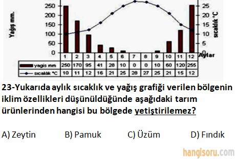 Soru 23