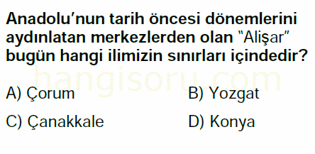 Soru 5