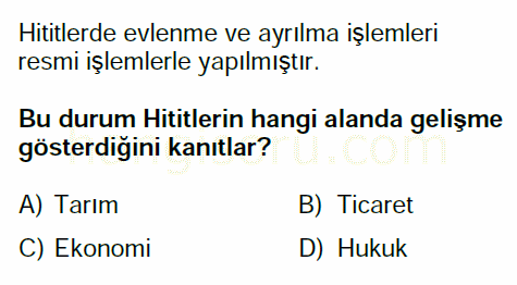Soru 7
