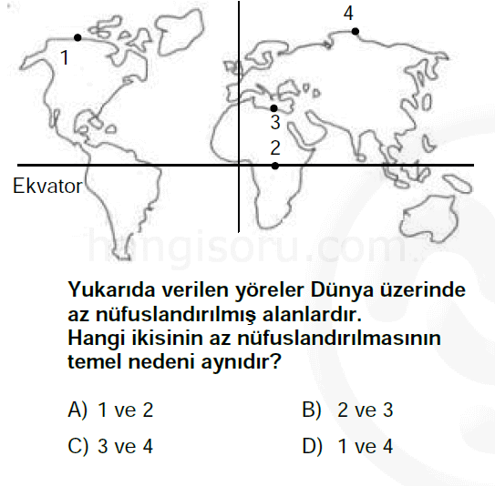 Soru 8