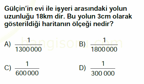 Soru 12