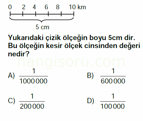 Soru 13