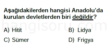 Soru 7