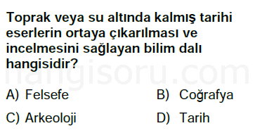 Soru 11