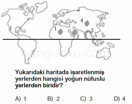 Soru 5