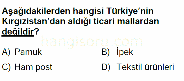 Soru 6