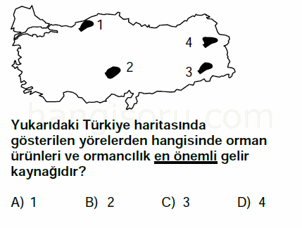 Soru 5