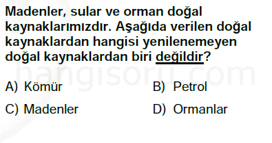 Soru 12