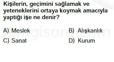 Soru 8